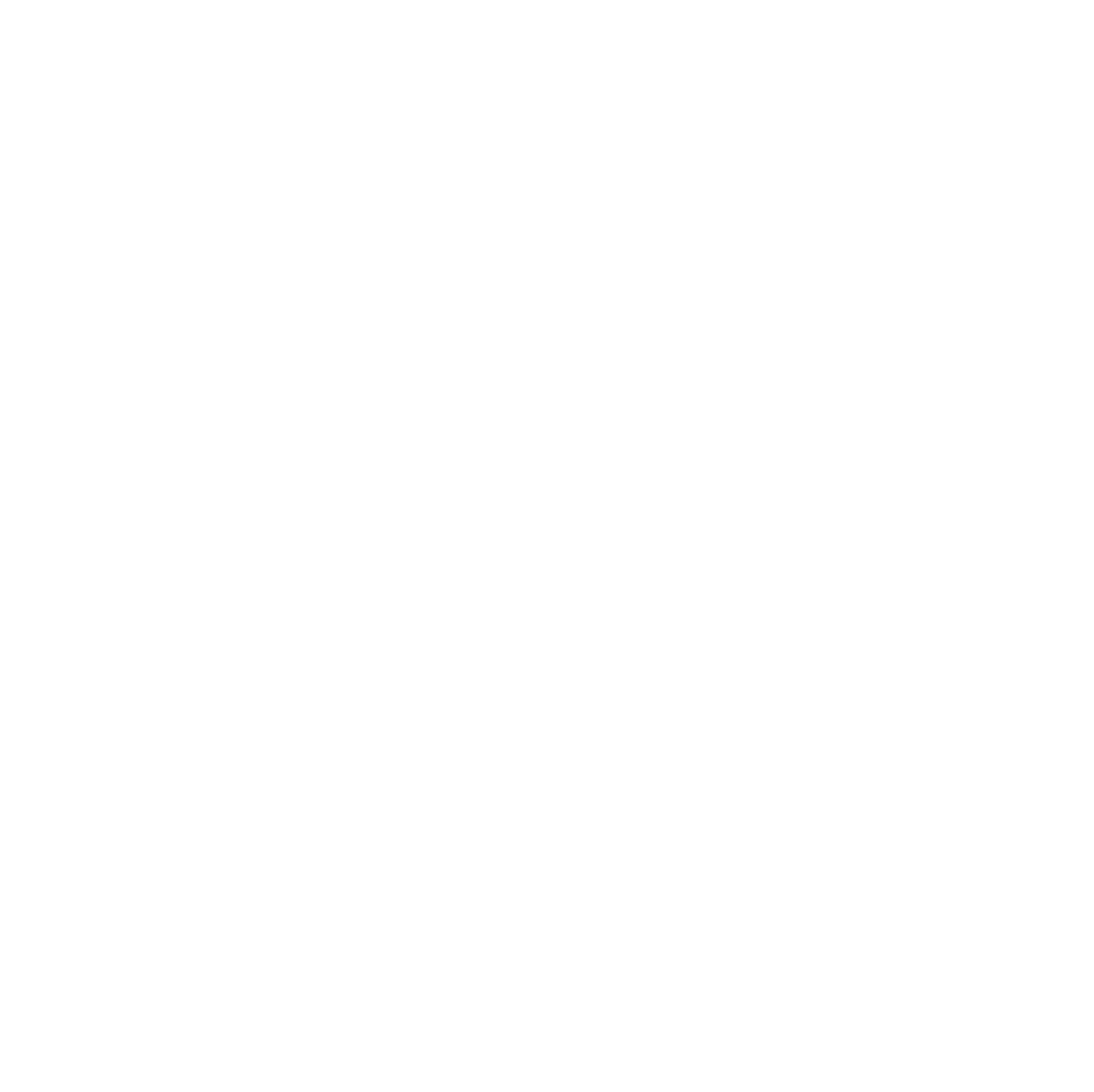 PN logo white